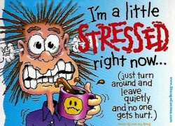 Stressed Pic
