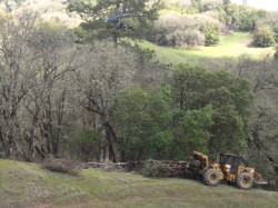Little Lake Valley Destruction