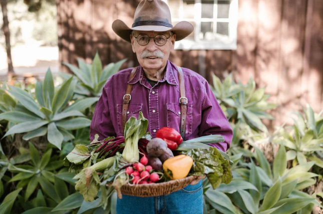 Man Consuming Vegetation: How I Discovered the Secrets and techniques of A Weight loss program for a Wholesome New World